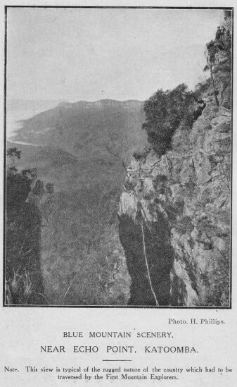 Blue Mountain Scenery--Near Echo point Katoomba